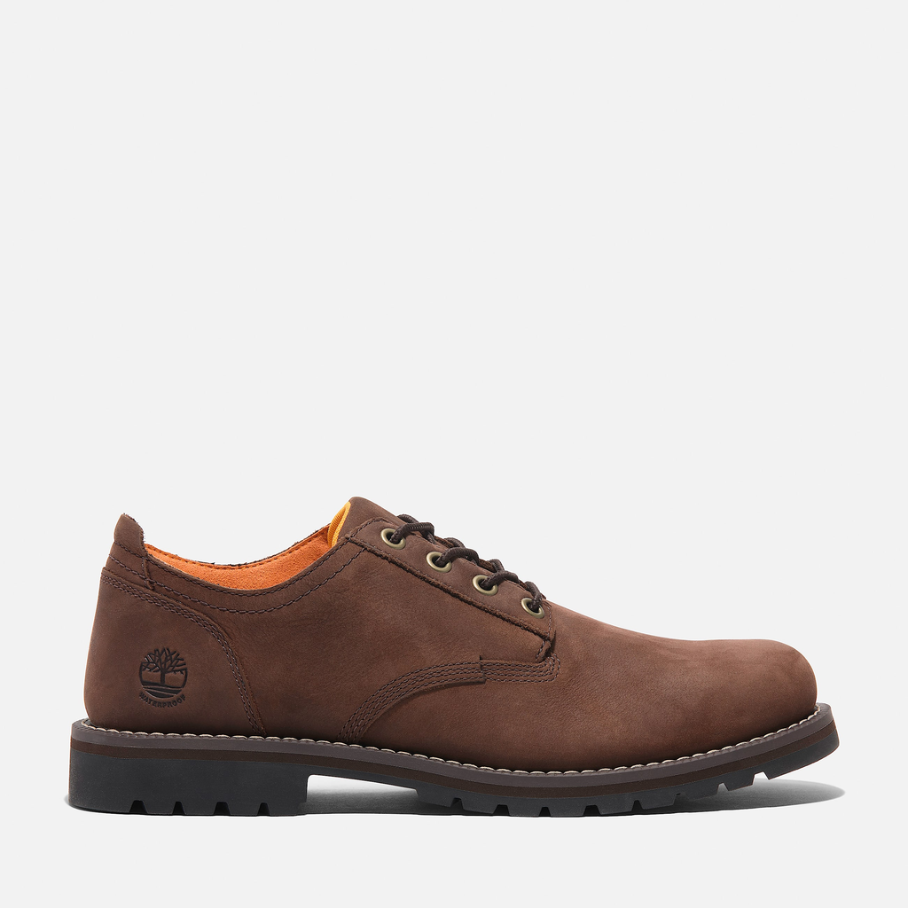 Mens Redwood Falls Waterproof Shoe
