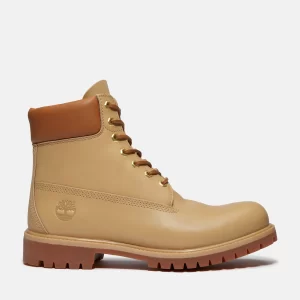 Mens Timberland? Founders Premium 6-Inch Waterproof Boot