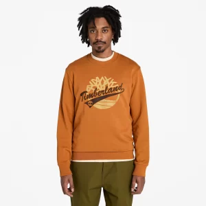 Mens Graphic Crewneck Sweatshirt